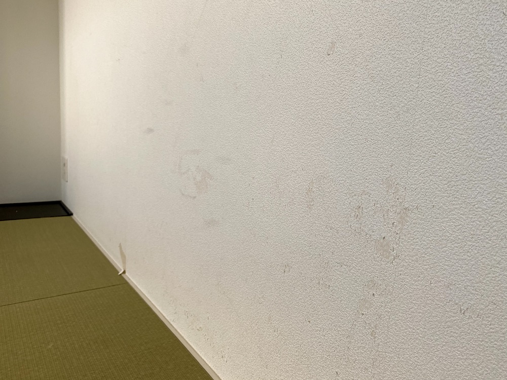 「壁紙の上から漆喰を塗ることにしました」Sさん宅リフォーム工事その3【完成しました】 家づくりブログ 「壁紙の上から漆喰を塗ることにしました」Sさん宅リフォーム工事その3【完成しました】 家づくりブログ